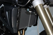 Griglia protezione radiatore per BMW F 800 R (2015 - )