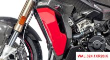  BMW S 1000 XR (2020- ) Protezione radiatore in carbonio (completo)