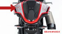  BMW S1000RR (2019- ) Carenatura posteriore