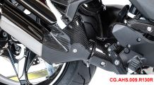  BMW R1300R Protezione scarico in carbonio anteriore