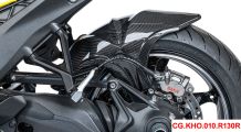 BMW R1300R Carbon Parafango posteriore