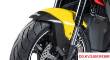  BMW R1300R Parafango anteriore carbonio