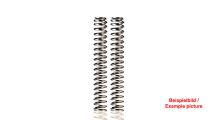  BMW F450GS Molle per forcella progressive Wilbers