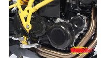  BMW F650GS (08-12), F700GS & F800GS (08-18) Protezione in carbonio per coperchio generatore grande