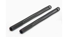  BMW R 80 Modelli Set molla forcella
