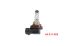BMW R1200GS (04-12), R1200GS Adv (05-13) & HP2 Lampadina per fanali aggiuntivi H11 12V/55W