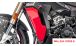 BMW S 1000 XR (2020- ) Protezione radiatore in carbonio (completo)
