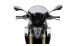BMW F800R Parabrezza Racing