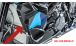 BMW S 1000 XR (2020- ) Coperture in carbonio sulla carenatura del radiatore dell'acqua con fori per alette