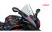 BMW S1000RR (2019- ) Parabrezza R-Racer