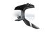 BMW R 1200 GS LC (2013-2018) & R 1200 GS Adventure LC (2014-2018) Air Outlet in fibra di carbonio lato sinistro Adventure