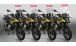 BMW F800GS (2024- ), F900GS & F900GS Adv Parabrezza V-Stream