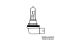 BMW R1200GS (04-12), R1200GS Adv (05-13) & HP2 Lampadina per fanali aggiuntivi H11 12V/55W