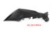 BMW S 1000 XR (2020- ) Carbon Carene laterali