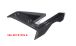 BMW S1000R (2021- ) Carbon Carene laterali