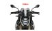 BMW S1000R (2021- ) Parabrezza Sport