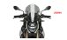 BMW S1000R (2021- ) Parabrezza Touring