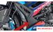 BMW S1000R (2021- ) Protezione radiatore in carbonio