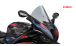 BMW S1000RR (2019- ) Parabrezza R-Racer
