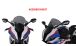 BMW S1000RR (2019- ) Parabrezza Racing