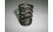 BMW R 80 Modelli Molla valvola per tutti i modelli R2V