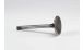 BMW R 80 Modelli Valvola d'aspirazione 42 mm di diametro