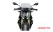 BMW S1000R (2021- ) Parabrezza Sport