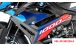 BMW S1000R (2021- ) Carbon Carene laterali