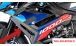 BMW S1000R (2021- ) Protezione radiatore in carbonio