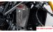 BMW R12nineT, R12, R12S & R12G/S Copertura radiatore dell'olio in carbonio