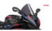 BMW S1000RR (2019- ) Parabrezza R-Racer