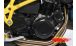 BMW F650GS (08-12), F700GS & F800GS (08-18) Protezione in carbonio per coperchio generatore grande