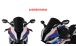 BMW S1000RR (2019- ) Parabrezza Racing