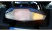 BMW R1100RT, R1150RT Luce posteriore LED 