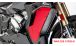 BMW S 1000 XR (2020- ) Protezione radiatore in carbonio (completo)
