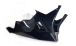 BMW S1000RR (2009-2018) Spoiler motore Racing