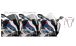 BMW S1000RR (2019- ) Parabrezza Racing