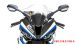 BMW S1000RR (2019- ) Pannello frontale