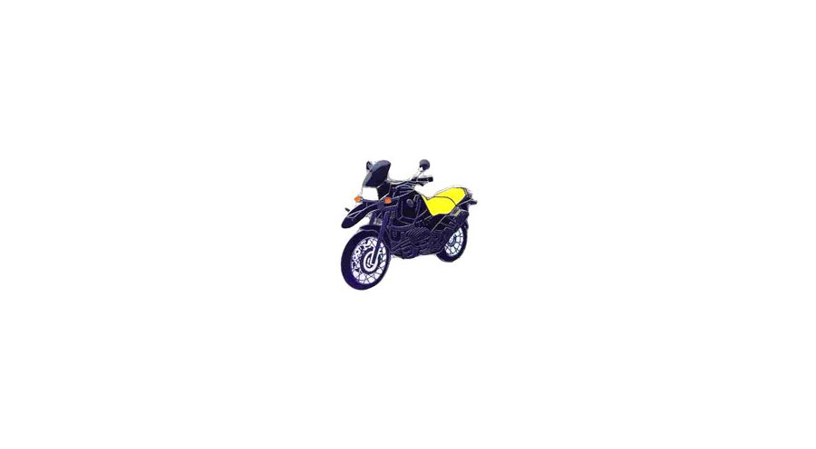 BMW R850GS, R1100GS, R1150GS & Adventure Spilla R 1100 GS (nero-giallo)