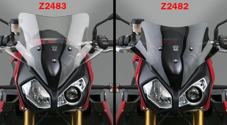 BMW S1000R (2014-2020) Parabrezza