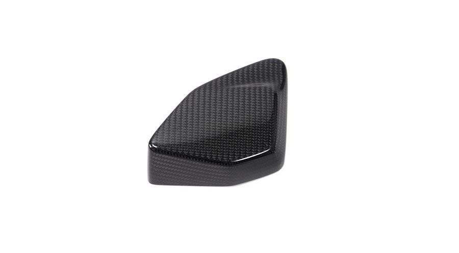 BMW R 1250 GS & R 1250 GS Adventure Coperchio in carbonio per scatola ESA