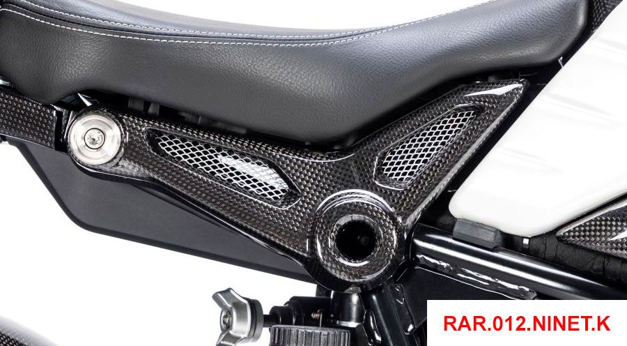 BMW R nine T Coperchio del telaio posteriore in carbonio