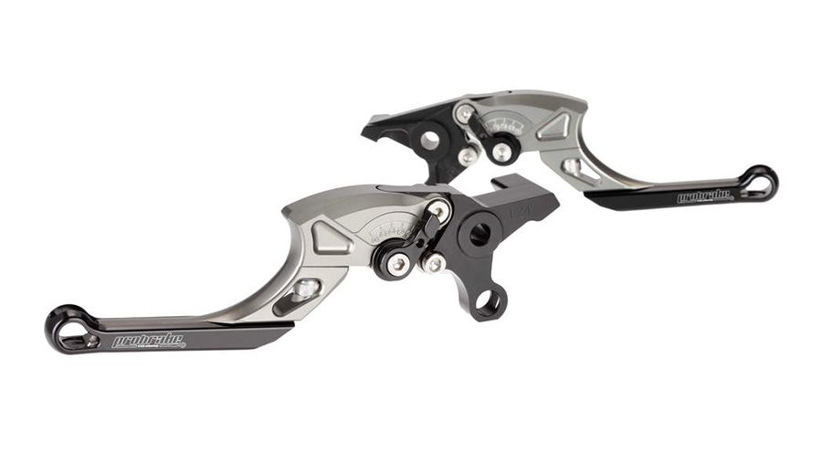 BMW G 310 GS Leva del freno e della frizione Tector