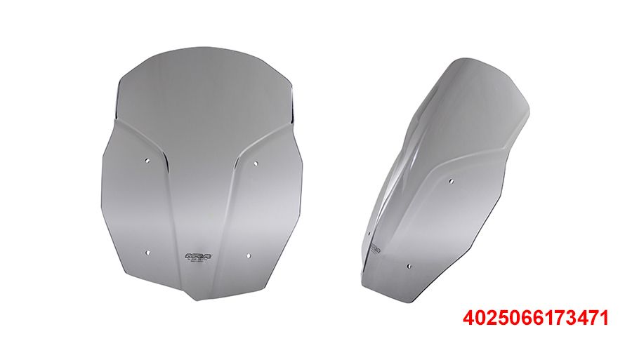 BMW F800GS (2024- ), F900GS & F900GS Adv Touringscreen per staffa regolabile