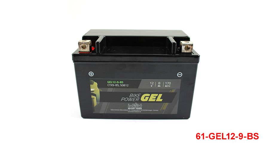BMW G 310 R Batteria a gel