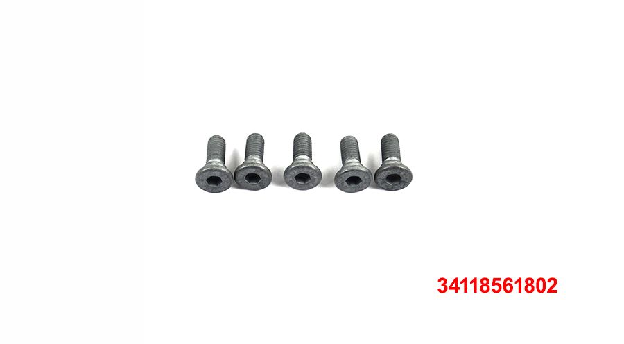 BMW G 310 GS 5 viti per disco freno anteriore/posteriore