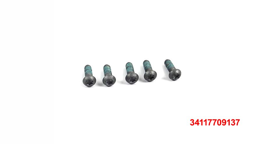 BMW F650GS (08-12), F700GS & F800GS (08-18) 5 viti M6x18-8.8-MK