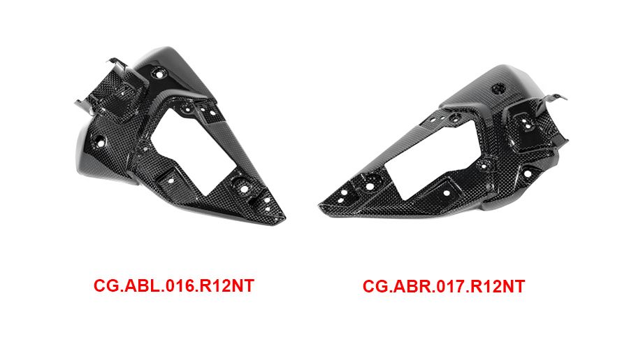 BMW R12nineT, R12, R12S & R12G/S Copertura airbox in carbonio