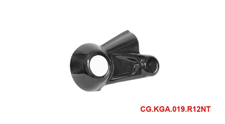 BMW R12nineT, R12, R12S & R12G/S Coperchio alloggiamento cardano in carbonio
