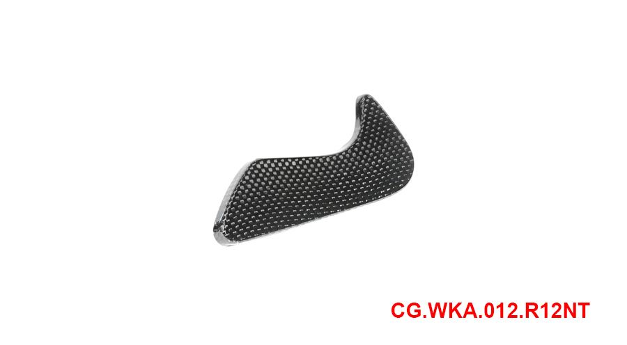 BMW R12nineT, R12, R12S & R12G/S Protezione cassetta degli attrezzi in fibra di carbonio